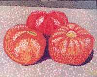 tomatoes